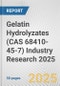 Gelatin Hydrolyzates (CAS 68410-45-7) Industry Research 2025: Global and Regional Market Trends 2019-2024 and Forecast to 2029 - Product Image
