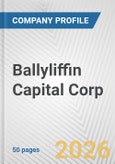 Ballyliffin Capital Corp. Fundamental Company Report Including Financial, SWOT, Competitors and Industry Analysis- Product Image