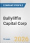 Ballyliffin Capital Corp. Fundamental Company Report Including Financial, SWOT, Competitors and Industry Analysis - Product Thumbnail Image