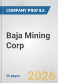 Baja Mining Corp. Fundamental Company Report Including Financial, SWOT, Competitors and Industry Analysis- Product Image