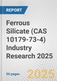 Ferrous Silicate (CAS 10179-73-4) Industry Research 2025: Global and Regional Market Trends 2019-2024 and Forecast to 2029- Product Image