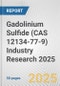 Gadolinium Sulfide (CAS 12134-77-9) Industry Research 2025: Global and Regional Market Trends 2019-2024 and Forecast to 2029 - Product Image