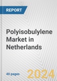 Polyisobulylene Market in Netherlands: 2017-2023 Review and Forecast to 2027- Product Image