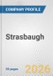 Strasbaugh Fundamental Company Report Including Financial, SWOT, Competitors and Industry Analysis - Product Thumbnail Image