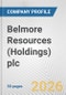 Belmore Resources (Holdings) plc Fundamental Company Report Including Financial, SWOT, Competitors and Industry Analysis - Product Thumbnail Image