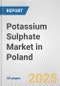 Potassium Sulphate Market in Poland: 2019-2024 Review and Forecast to 2029 - Product Thumbnail Image