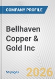 Bellhaven Copper & Gold Inc. Fundamental Company Report Including Financial, SWOT, Competitors and Industry Analysis- Product Image