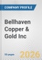 Bellhaven Copper & Gold Inc. Fundamental Company Report Including Financial, SWOT, Competitors and Industry Analysis - Product Thumbnail Image