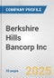 Berkshire Hills Bancorp Inc. Fundamental Company Report Including Financial, SWOT, Competitors and Industry Analysis - Product Thumbnail Image