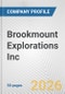 Brookmount Explorations Inc. Fundamental Company Report Including Financial, SWOT, Competitors and Industry Analysis - Product Thumbnail Image