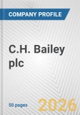 C.H. Bailey plc Fundamental Company Report Including Financial, SWOT, Competitors and Industry Analysis- Product Image