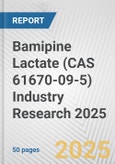 Bamipine Lactate (CAS 61670-09-5) Industry Research 2025: Global and Regional Market Trends 2019-2024 and Forecast to 2029- Product Image