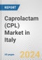 Caprolactam (CPL) Market in Italy: 2016-2022 Review and Forecast to 2026 - Product Thumbnail Image