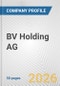 BV Holding AG Fundamental Company Report Including Financial, SWOT, Competitors and Industry Analysis - Product Thumbnail Image