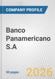 Banco Panamericano S.A. Fundamental Company Report Including Financial, SWOT, Competitors and Industry Analysis- Product Image