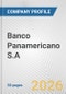 Banco Panamericano S.A. Fundamental Company Report Including Financial, SWOT, Competitors and Industry Analysis - Product Thumbnail Image