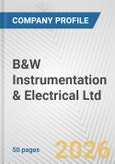 B&W Instrumentation & Electrical Ltd. Fundamental Company Report Including Financial, SWOT, Competitors and Industry Analysis- Product Image