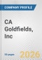 CA Goldfields, Inc. Fundamental Company Report Including Financial, SWOT, Competitors and Industry Analysis - Product Thumbnail Image