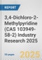 3,4-Dichloro-2-Methylpyridine (CAS 103949-58-2) Industry Research 2025: Global and Regional Market Trends 2019-2024 and Forecast to 2029 - Product Image