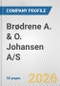 Brødrene A. & O. Johansen A/S Fundamental Company Report Including Financial, SWOT, Competitors and Industry Analysis - Product Thumbnail Image