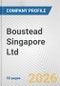 Boustead Singapore Ltd. Fundamental Company Report Including Financial, SWOT, Competitors and Industry Analysis - Product Thumbnail Image