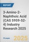 3-Amino-2-Naphthoic Acid (CAS 5959-52-4) Industry Research 2025: Global and Regional Market Trends 2019-2024 and Forecast to 2029 - Product Thumbnail Image
