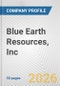 Blue Earth Resources, Inc. Fundamental Company Report Including Financial, SWOT, Competitors and Industry Analysis - Product Thumbnail Image