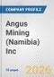Angus Mining (Namibia) Inc. Fundamental Company Report Including Financial, SWOT, Competitors and Industry Analysis - Product Thumbnail Image