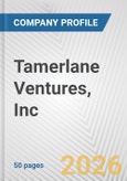 Tamerlane Ventures, Inc. Fundamental Company Report Including Financial, SWOT, Competitors and Industry Analysis- Product Image