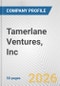 Tamerlane Ventures, Inc. Fundamental Company Report Including Financial, SWOT, Competitors and Industry Analysis - Product Thumbnail Image