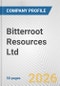 Bitterroot Resources Ltd. Fundamental Company Report Including Financial, SWOT, Competitors and Industry Analysis - Product Thumbnail Image