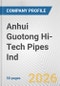 Anhui Guotong Hi-Tech Pipes Ind Fundamental Company Report Including Financial, SWOT, Competitors and Industry Analysis - Product Thumbnail Image