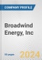 Broadwind Energy, Inc. Fundamental Company Report Including Financial, SWOT, Competitors and Industry Analysis - Product Thumbnail Image