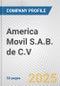 America Movil S.A.B. de C.V. Fundamental Company Report Including Financial, SWOT, Competitors and Industry Analysis - Product Thumbnail Image