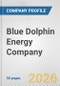 Blue Dolphin Energy Company Fundamental Company Report Including Financial, SWOT, Competitors and Industry Analysis - Product Thumbnail Image