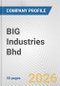 BIG Industries Bhd Fundamental Company Report Including Financial, SWOT, Competitors and Industry Analysis - Product Thumbnail Image