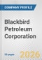 Blackbird Petroleum Corporation Fundamental Company Report Including Financial, SWOT, Competitors and Industry Analysis - Product Thumbnail Image