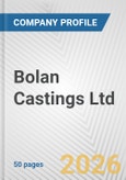 Bolan Castings Ltd. Fundamental Company Report Including Financial, SWOT, Competitors and Industry Analysis- Product Image
