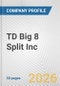 TD Big 8 Split Inc Fundamental Company Report Including Financial, SWOT, Competitors and Industry Analysis - Product Thumbnail Image