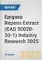 Epigaea Repens Extract (CAS 90028-30-1) Industry Research 2025: Global and Regional Market Trends 2019-2024 and Forecast to 2029 - Product Thumbnail Image