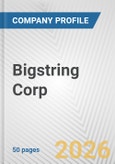 Bigstring Corp. Fundamental Company Report Including Financial, SWOT, Competitors and Industry Analysis- Product Image