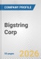 Bigstring Corp. Fundamental Company Report Including Financial, SWOT, Competitors and Industry Analysis - Product Thumbnail Image