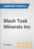 Black Tusk Minerals Inc. Fundamental Company Report Including Financial, SWOT, Competitors and Industry Analysis- Product Image
