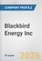 Blackbird Energy Inc. Fundamental Company Report Including Financial, SWOT, Competitors and Industry Analysis - Product Thumbnail Image