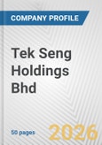 Tek Seng Holdings Bhd Fundamental Company Report Including Financial, SWOT, Competitors and Industry Analysis- Product Image