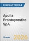 Apulia Prontoprestito SpA Fundamental Company Report Including Financial, SWOT, Competitors and Industry Analysis - Product Thumbnail Image