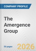 The Amergence Group Fundamental Company Report Including Financial, SWOT, Competitors and Industry Analysis- Product Image