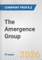 The Amergence Group Fundamental Company Report Including Financial, SWOT, Competitors and Industry Analysis - Product Thumbnail Image
