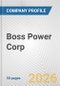 Boss Power Corp. Fundamental Company Report Including Financial, SWOT, Competitors and Industry Analysis - Product Thumbnail Image