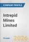 Intrepid Mines Limited Fundamental Company Report Including Financial, SWOT, Competitors and Industry Analysis - Product Thumbnail Image